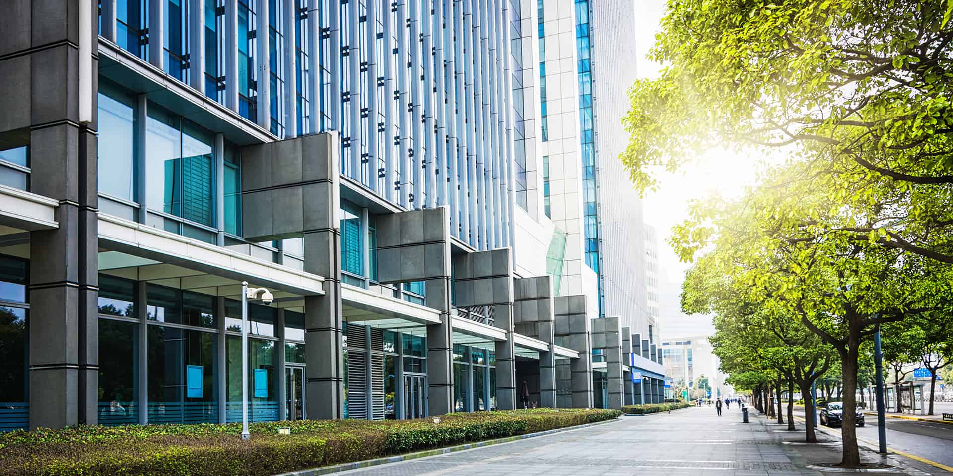 Edificio moderno con vetrate e alberi lungo il marciapiede.
