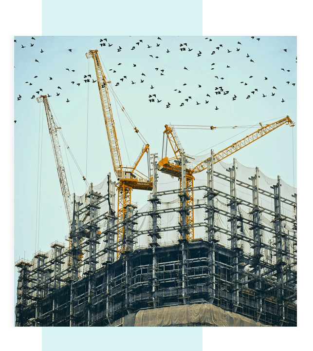 Costruzione di edificio con gru e stormo di uccelli.
